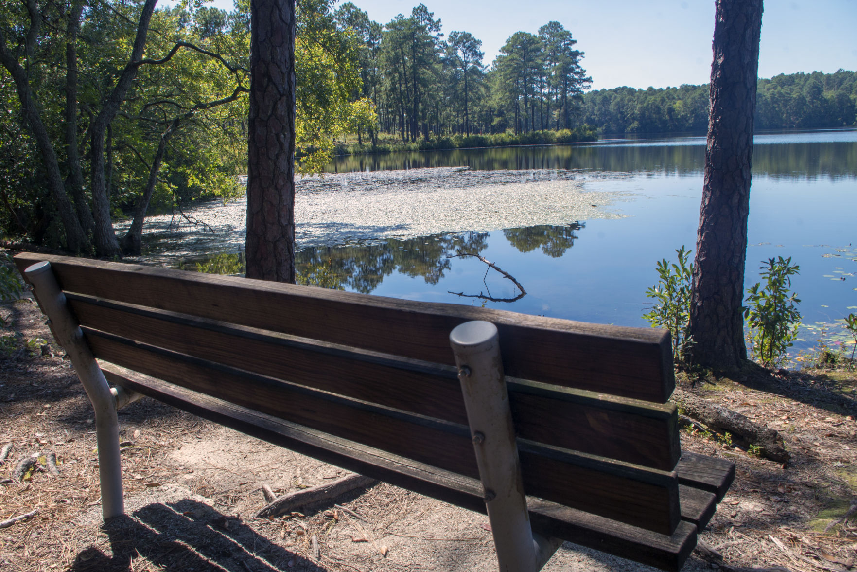 The lake at Reservoir Park in Southern Pines